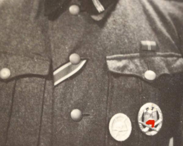 original Foto - Portrait SS-Rottenführer mit ASA und weiteren Auszeichnungen